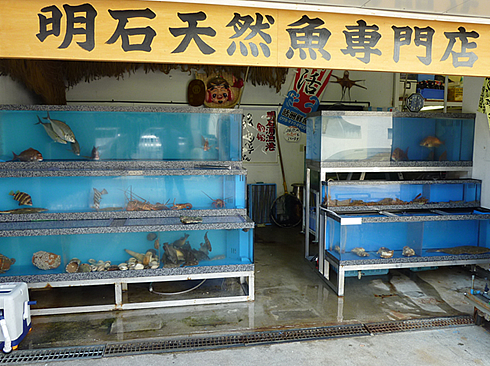 明石天然魚専門店